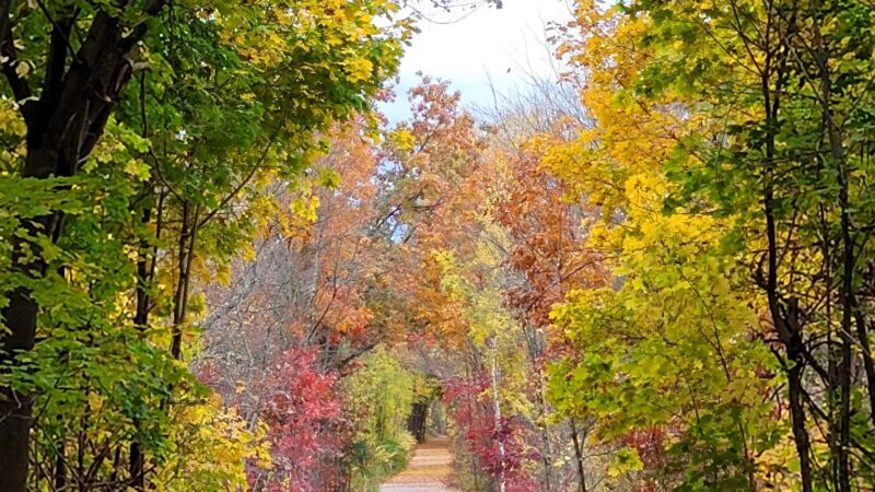 Rockingham Rail Trail - Manchester, NH