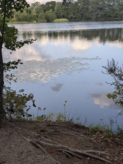 Sheehan-Basquil Park - Manchester, NH