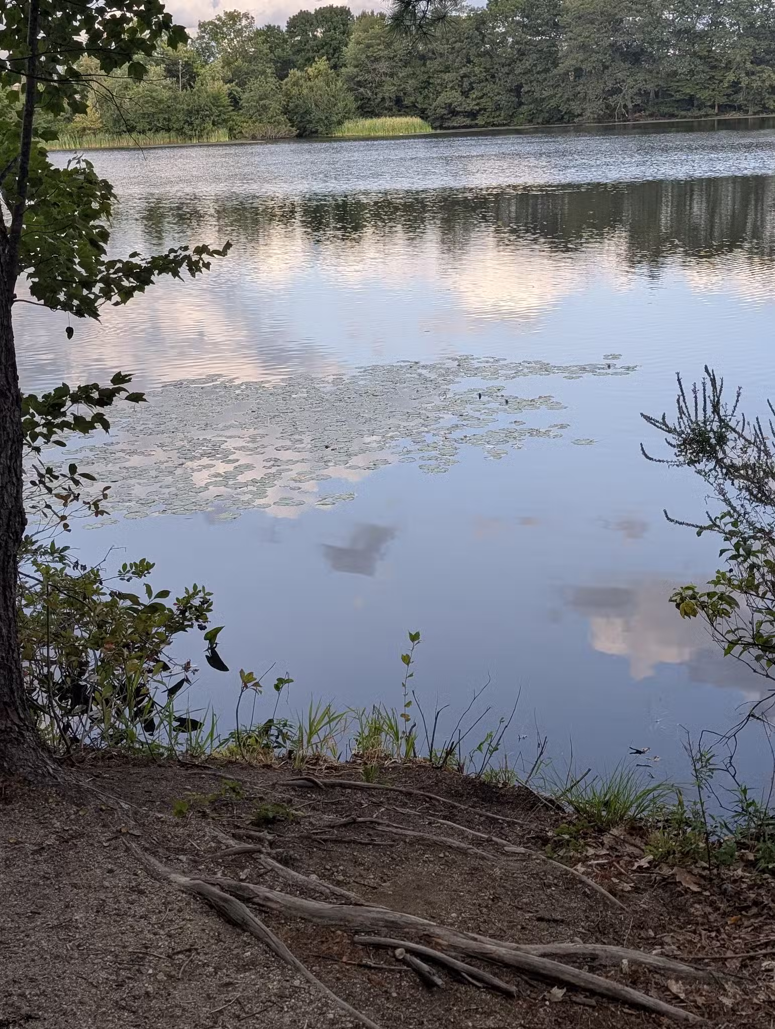 Sheehan-Basquil Park - Manchester, NH