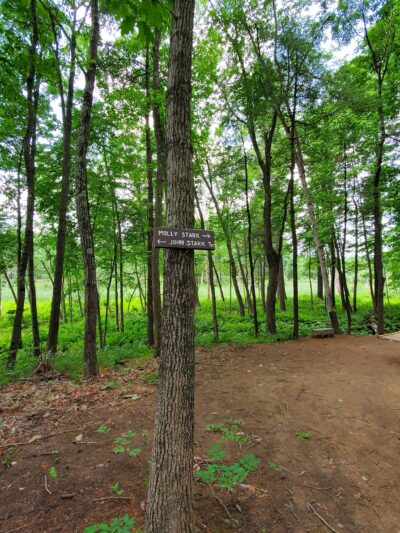 Stark Park - Manchester, NH