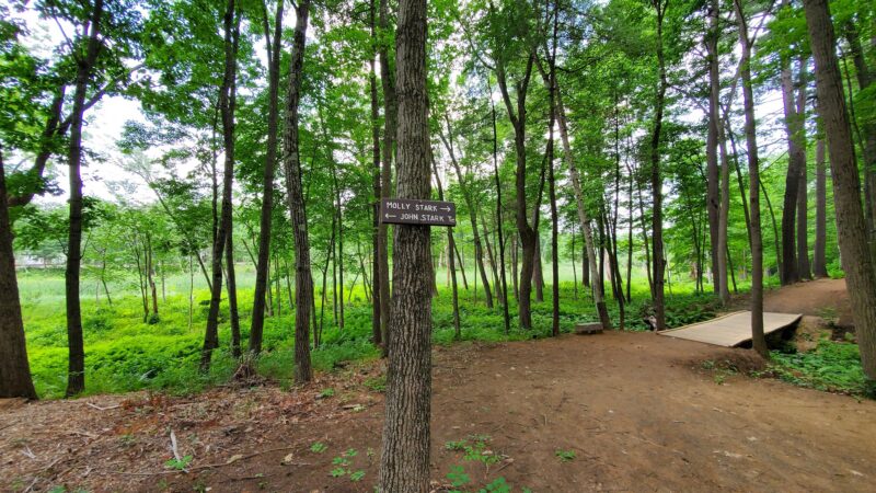 Stark Park - Manchester, NH
