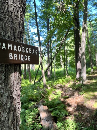 Walk in the Woods - Stark Park - Manchester, NH