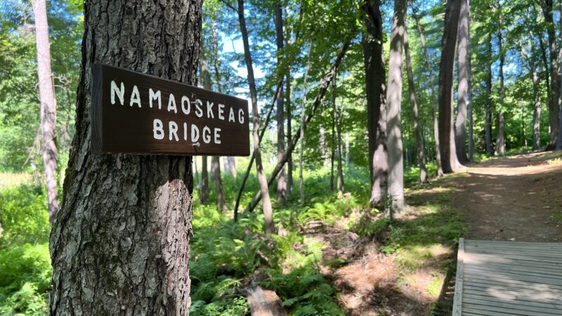 Walk in the Woods - Stark Park - Manchester, NH