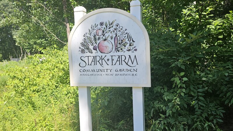 Walk in the Woods - Stark Park - Manchester, NH