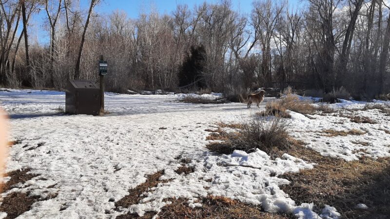 Cottonwood Park - Mancos, CO