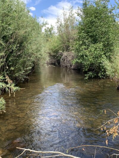 Cottonwood Park - Mancos, CO