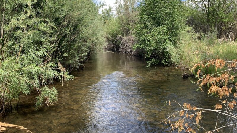 Cottonwood Park - Mancos, CO