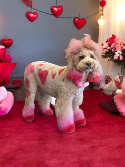 The Pretty Pup Parlor - Mangham, LA