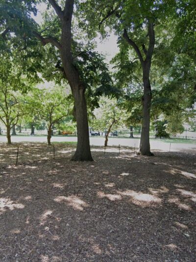 East Green - Manhattan, NY