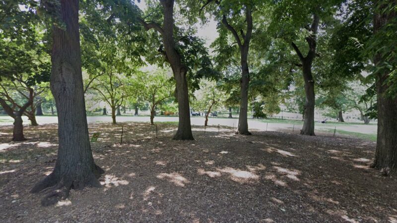 East Green - Manhattan, NY