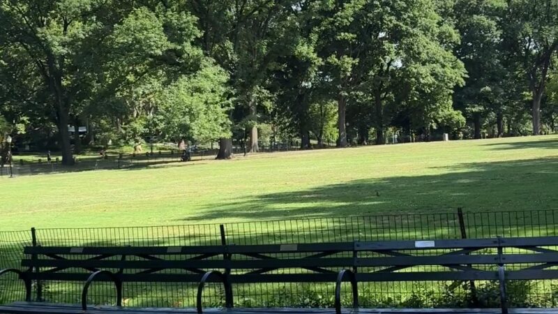 East Green - Manhattan, NY