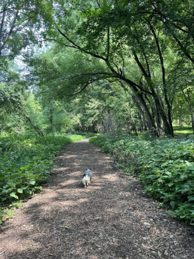 Kiwanis Recreation Area - Mankato, MN