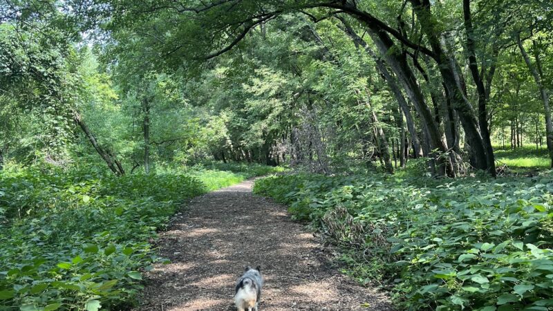 Kiwanis Recreation Area - Mankato, MN
