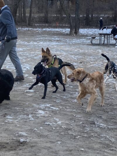 Kiwanis Recreation Area - Mankato, MN