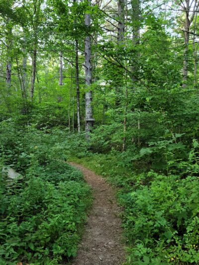 Lion’s Memorial Park - Mansfield Center, CT