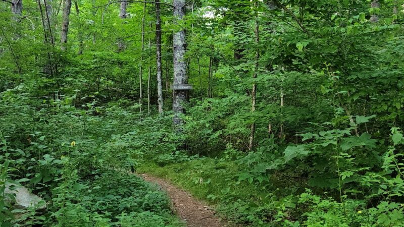 Lion’s Memorial Park - Mansfield Center, CT