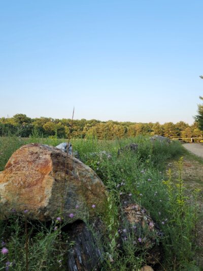 Lion’s Memorial Park - Mansfield Center, CT