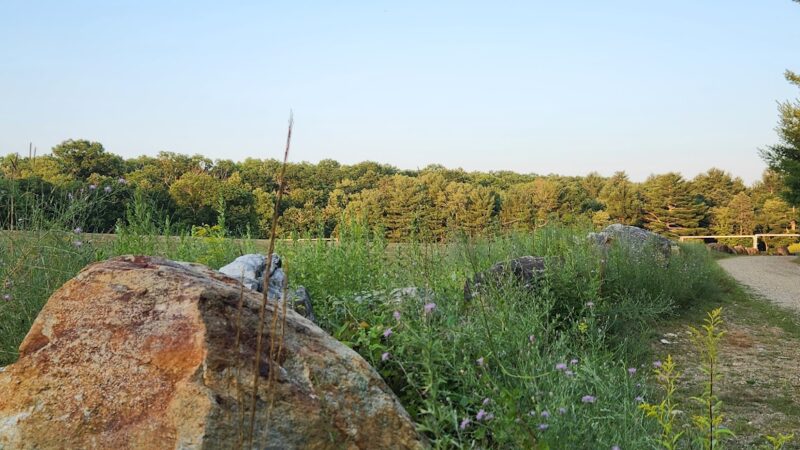 Lion’s Memorial Park - Mansfield Center, CT