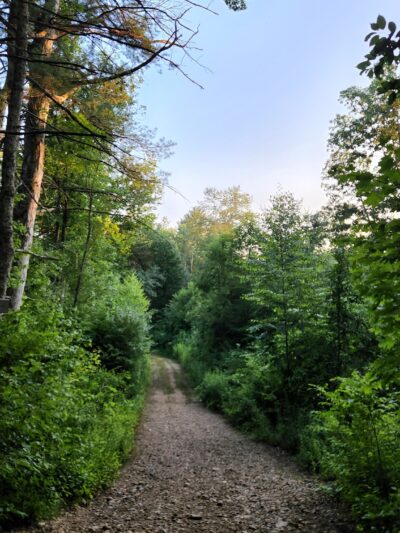 Lion’s Memorial Park - Mansfield Center, CT