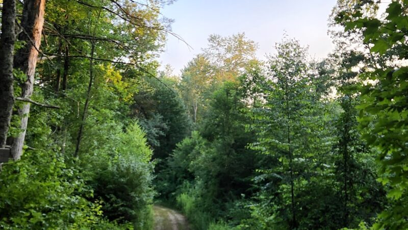 Lion’s Memorial Park - Mansfield Center, CT