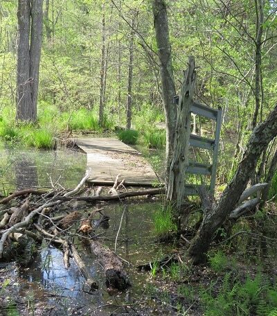 Mount Hope Park - Mansfield Center, CT