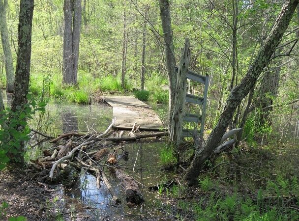Mount Hope Park - Mansfield Center, CT