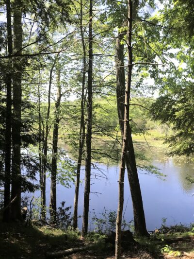 Mount Hope Park - Mansfield Center, CT