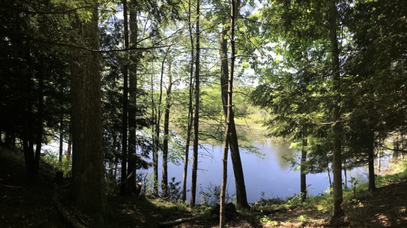 Mount Hope Park - Mansfield Center, CT