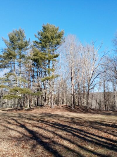 Mount Hope Park - Mansfield Center, CT