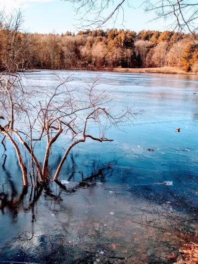 Mount Hope Park - Mansfield Center, CT