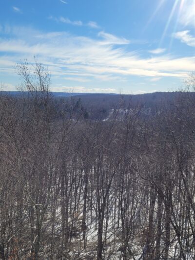 Sawmill Brook Preserve - Mansfield Center, CT