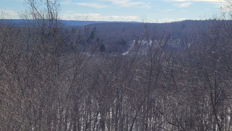 Sawmill Brook Preserve - Mansfield Center, CT