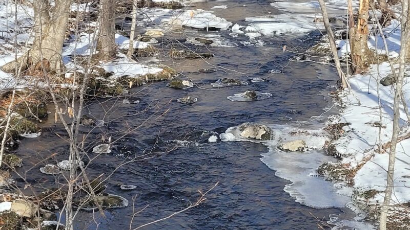 Sawmill Brook Preserve - Mansfield Center, CT