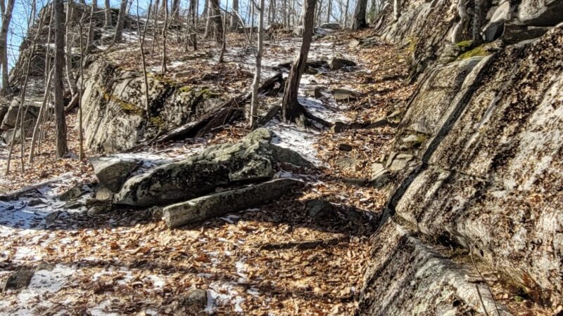 Sawmill Brook Preserve - Mansfield Center, CT