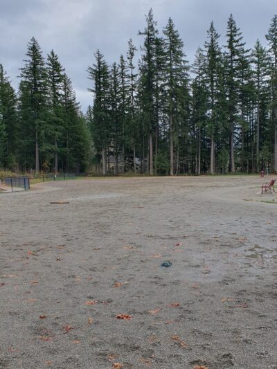 Summit Park Off Leash Dog Park - Maple Valley, WA