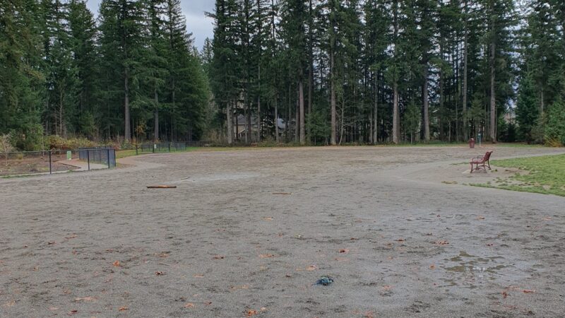 Summit Park Off Leash Dog Park - Maple Valley, WA