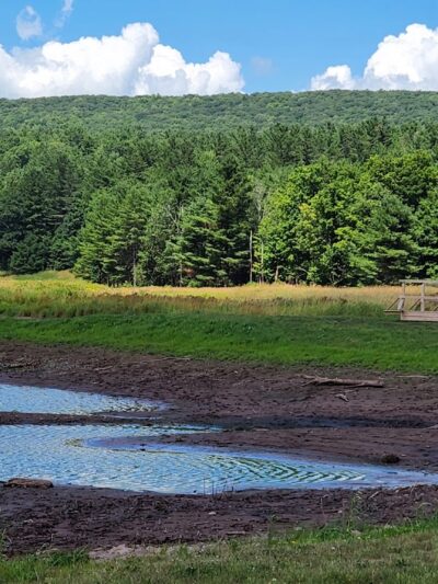 C D Lane Park - Maplecrest, NY