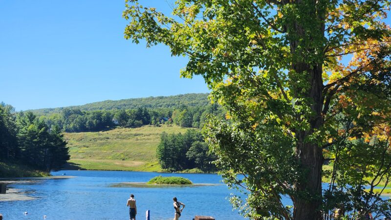 C D Lane Park - Maplecrest, NY