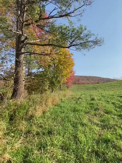 C D Lane Park - Maplecrest, NY
