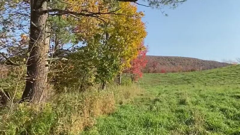 C D Lane Park - Maplecrest, NY