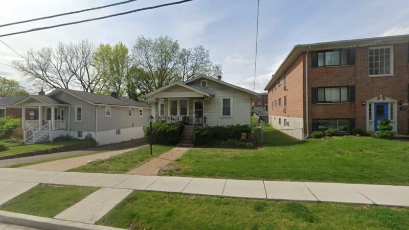Anna’s Fully Fenced Yard for Dogs - Maplewood, MO