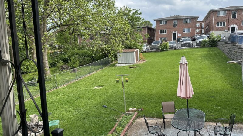 Anna’s Fully Fenced Yard for Dogs - Maplewood, MO