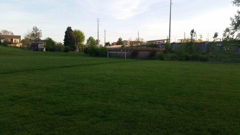 Kellogg Park-Maplewood membership only dog park - Maplewood, MO