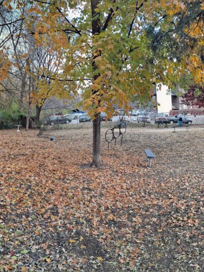 Kellogg Park-Maplewood membership only dog park - Maplewood, MO