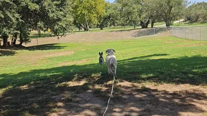 Ruff Park - Marble Falls, TX
