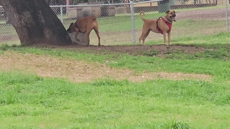 Ruff Park - Marble Falls, TX