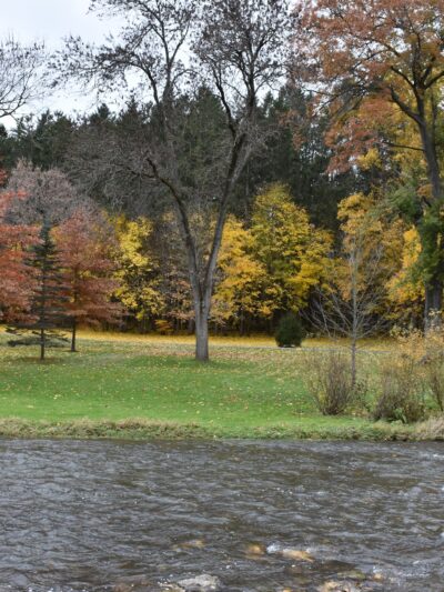Marcellus Park - Marcellus, NY