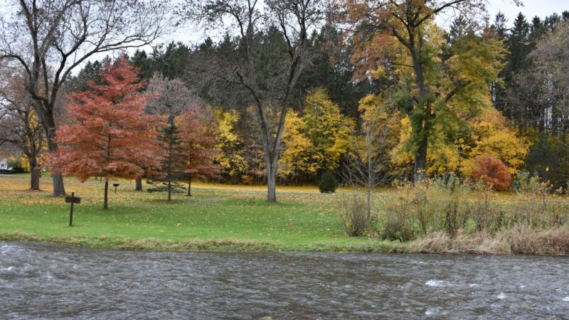 Marcellus Park - Marcellus, NY