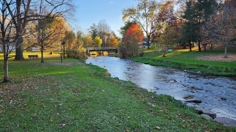 Marcellus Park - Marcellus, NY