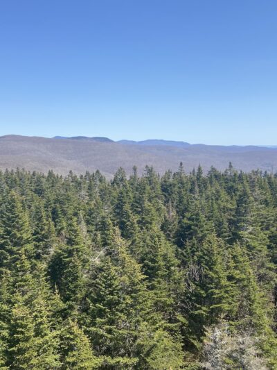 Dry Brook Ridge Trailhead - Margaretville, NY